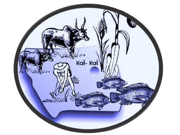 Commune de Kaï-kaï